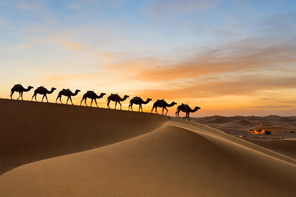 The Sahara Desert: Merzouga and the Camel Trek